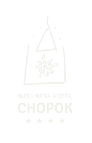 Wellness hotel Chopok